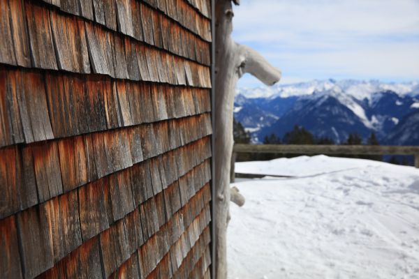 Cedar Siding Repair in San Mateo