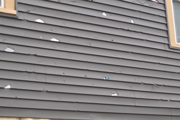 Damaged Siding Replacement in San Mateo